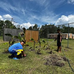 70948881903__F2480C23-2C4D-4E5A-8D5F-97CEDB23F35E